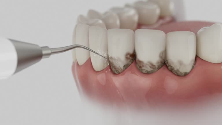 Reliable Dental contractor in Shiawassee County County, MI by Dentist Open Now